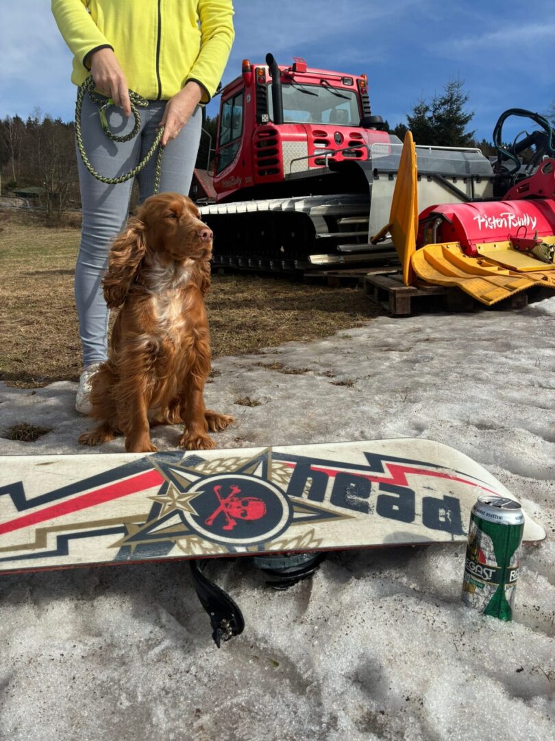 WhatsApp Image 2026-03-16 at 08.41.10